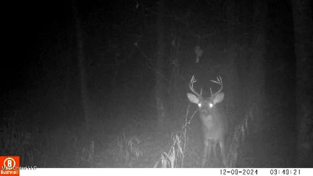 $555,000 | 4885 Ennis Road, Starkville, MS 39759