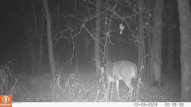 $555,000 | 4885 Ennis Road, Starkville, MS 39759