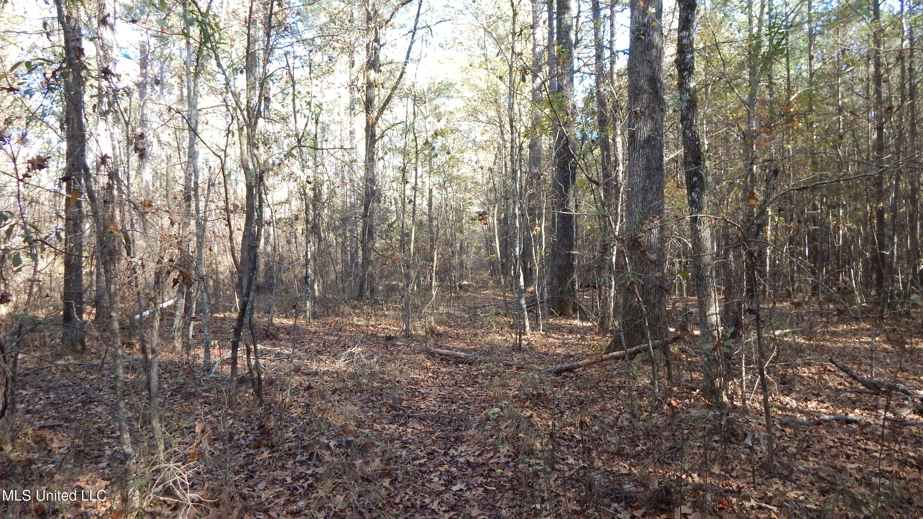 4885 Ennis Road Starkville, MS 39759 - Photo 32 of 52 DSCN6331