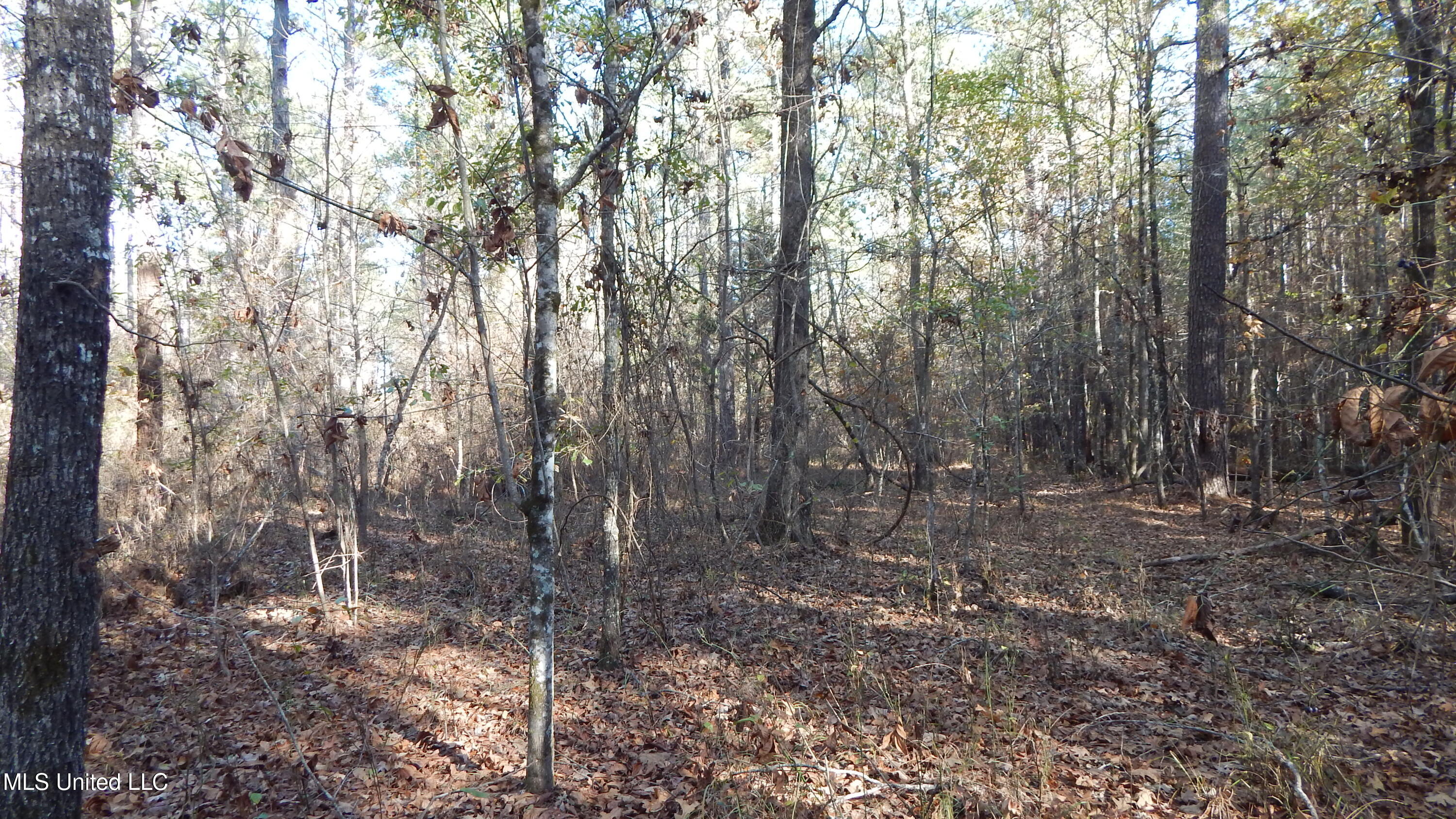 4885 Ennis Road Starkville, MS 39759 - Photo 33 of 52 DSCN6332