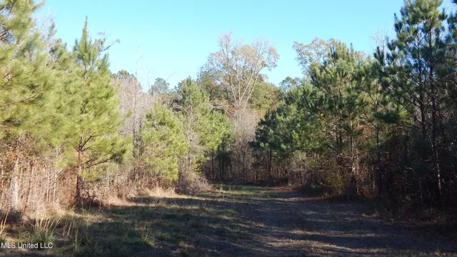 $555,000 | 4885 Ennis Road, Starkville, MS 39759