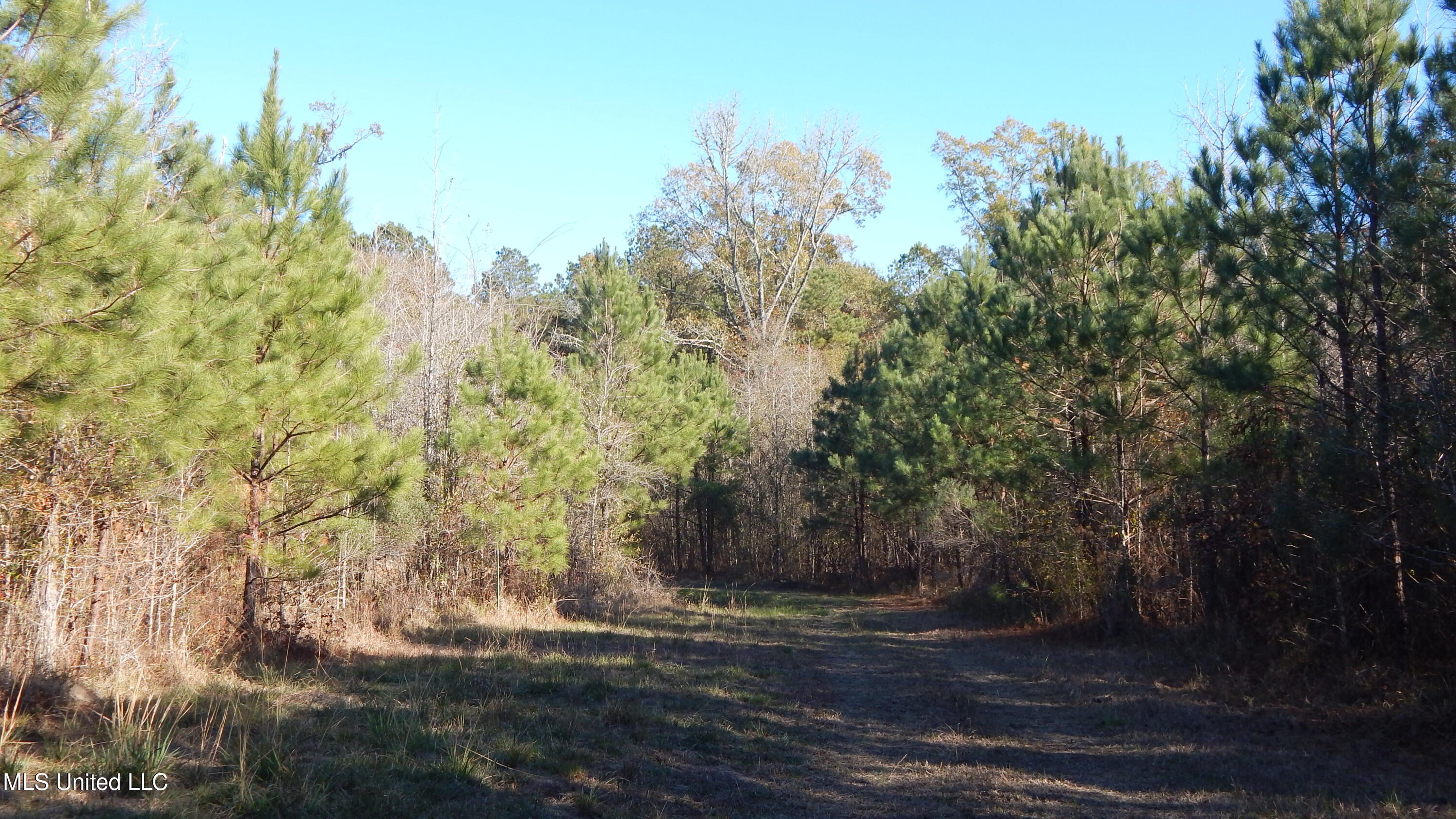4885 Ennis Road Starkville, MS 39759 - Photo 35 of 52 DSCN6334