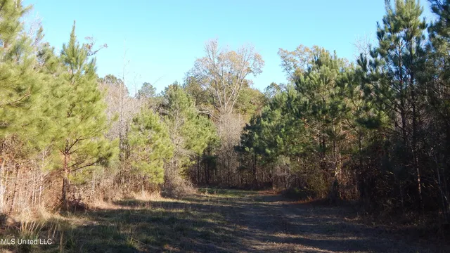 $555,000 | 4885 Ennis Road, Starkville, MS 39759