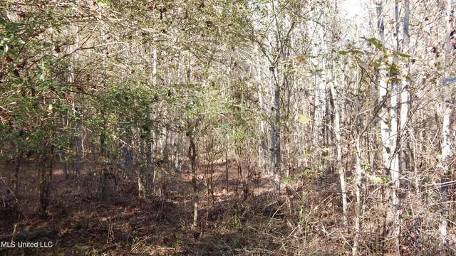 $555,000 | 4885 Ennis Road, Starkville, MS 39759