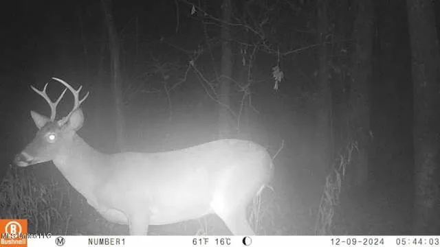 $555,000 | 4885 Ennis Road, Starkville, MS 39759