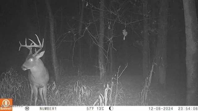 $555,000 | 4885 Ennis Road, Starkville, MS 39759