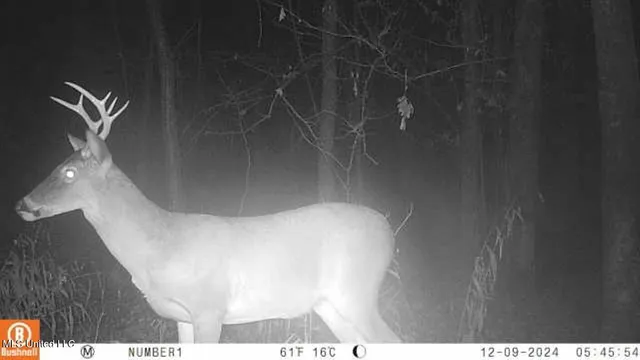 $555,000 | 4885 Ennis Road, Starkville, MS 39759