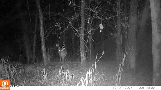 $555,000 | 4885 Ennis Road, Starkville, MS 39759