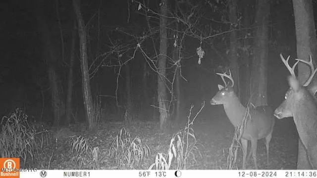 $555,000 | 4885 Ennis Road, Starkville, MS 39759