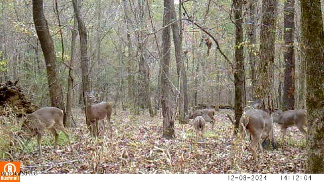 $555,000 | 4885 Ennis Road, Starkville, MS 39759