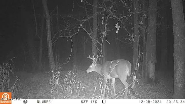 $555,000 | 4885 Ennis Road, Starkville, MS 39759