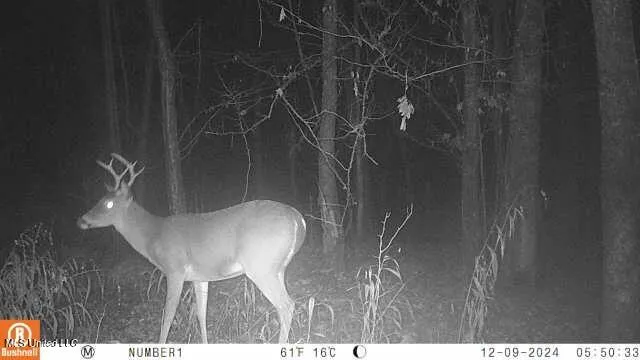 $555,000 | 4885 Ennis Road, Starkville, MS 39759