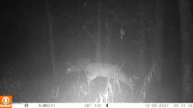 $555,000 | 4885 Ennis Road, Starkville, MS 39759