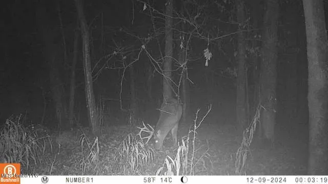 $555,000 | 4885 Ennis Road, Starkville, MS 39759