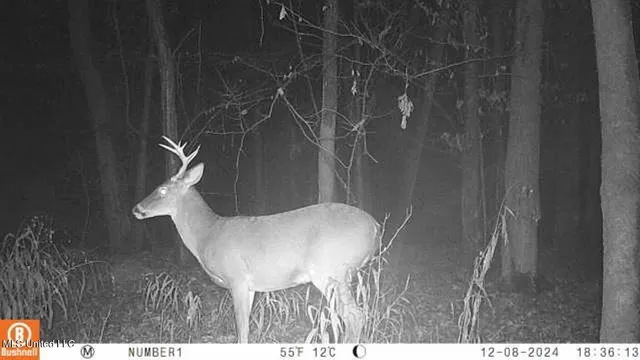 $555,000 | 4885 Ennis Road, Starkville, MS 39759