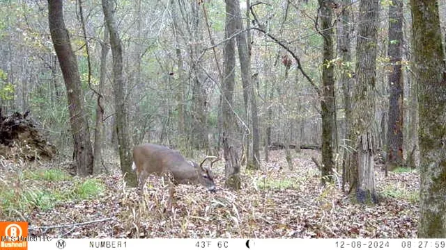 $555,000 | 4885 Ennis Road, Starkville, MS 39759