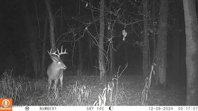 $555,000 | 4885 Ennis Road, Starkville, MS 39759