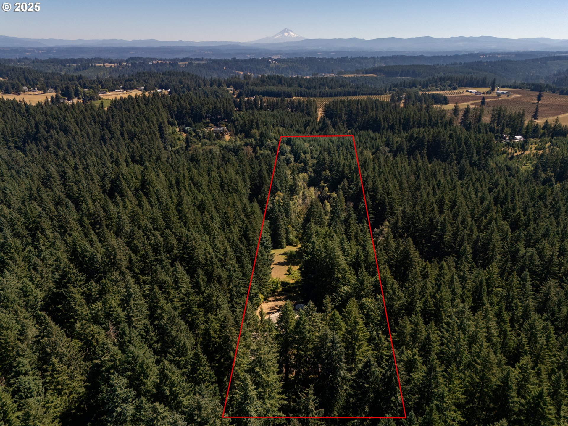 22091 South Ridge Road Oregon City, OR 97045 - Photo 37 of 48 a view of a city with lush green forest