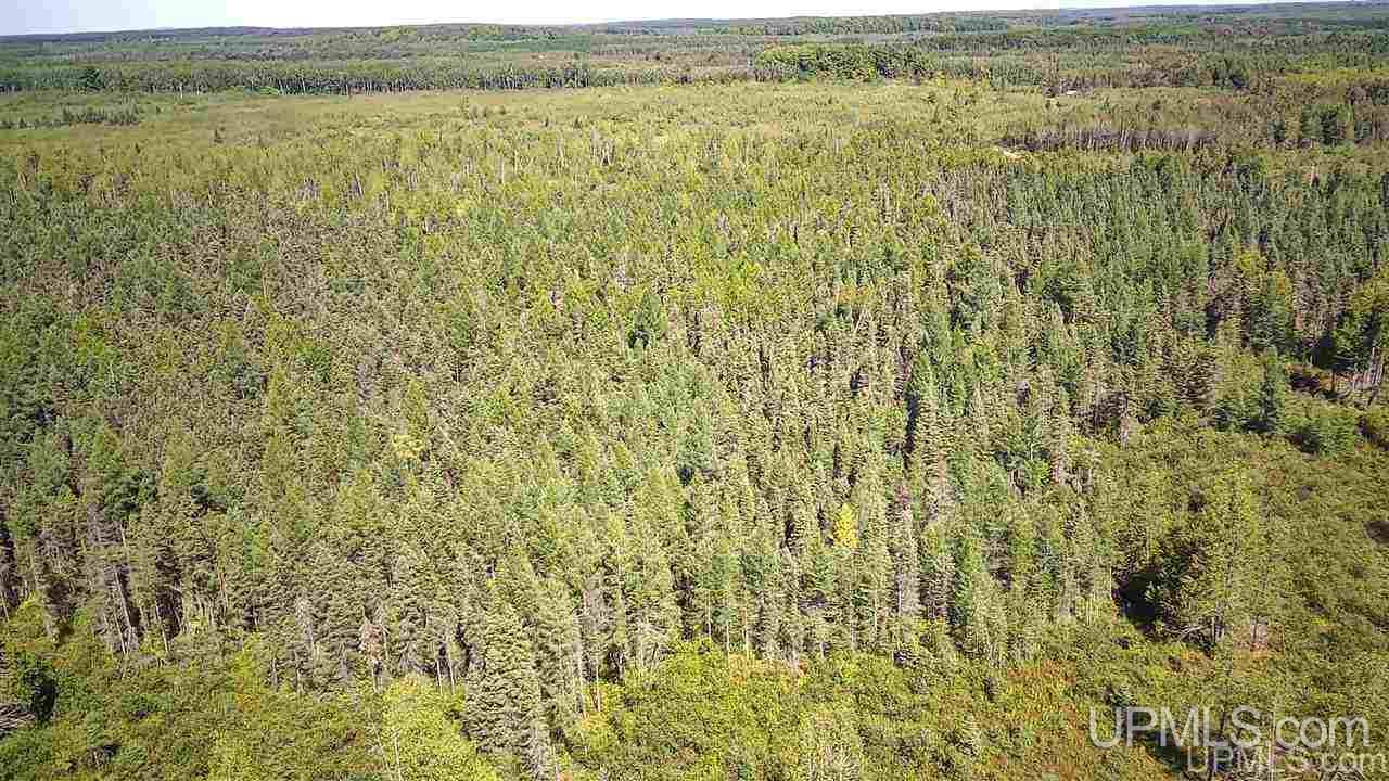 Tbd Off Of Co Rd 557, Unit 1 Arnold, MI 49819 - Photo 5 of 16