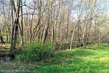 5239 Port Austin Road Caseville, MI 48725 - Photo 2 of 2 Gallery Image 2