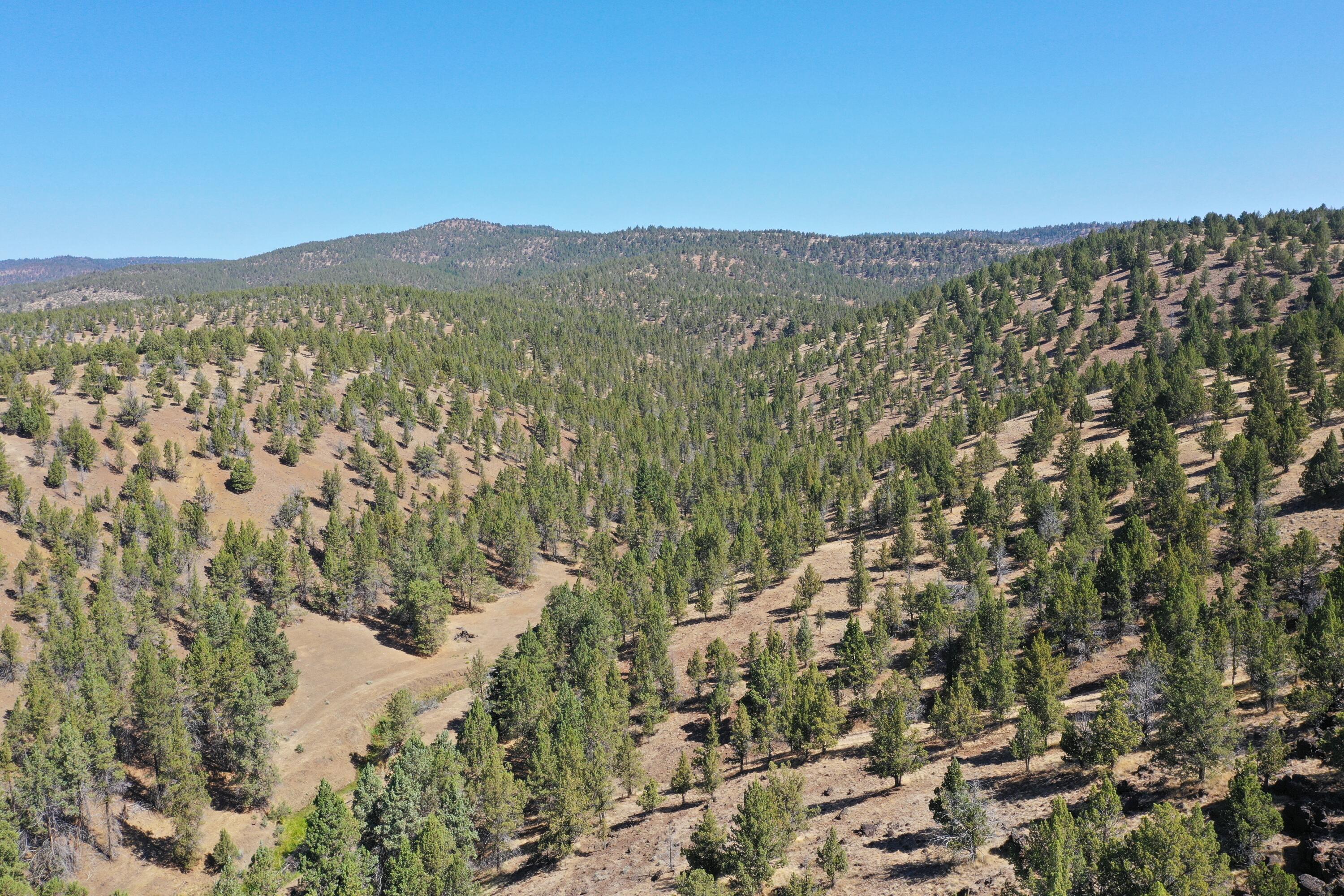 2400 Wiley Creek Road Mount Vernon, OR 97865 - Photo 2 of 34 DJI_0398