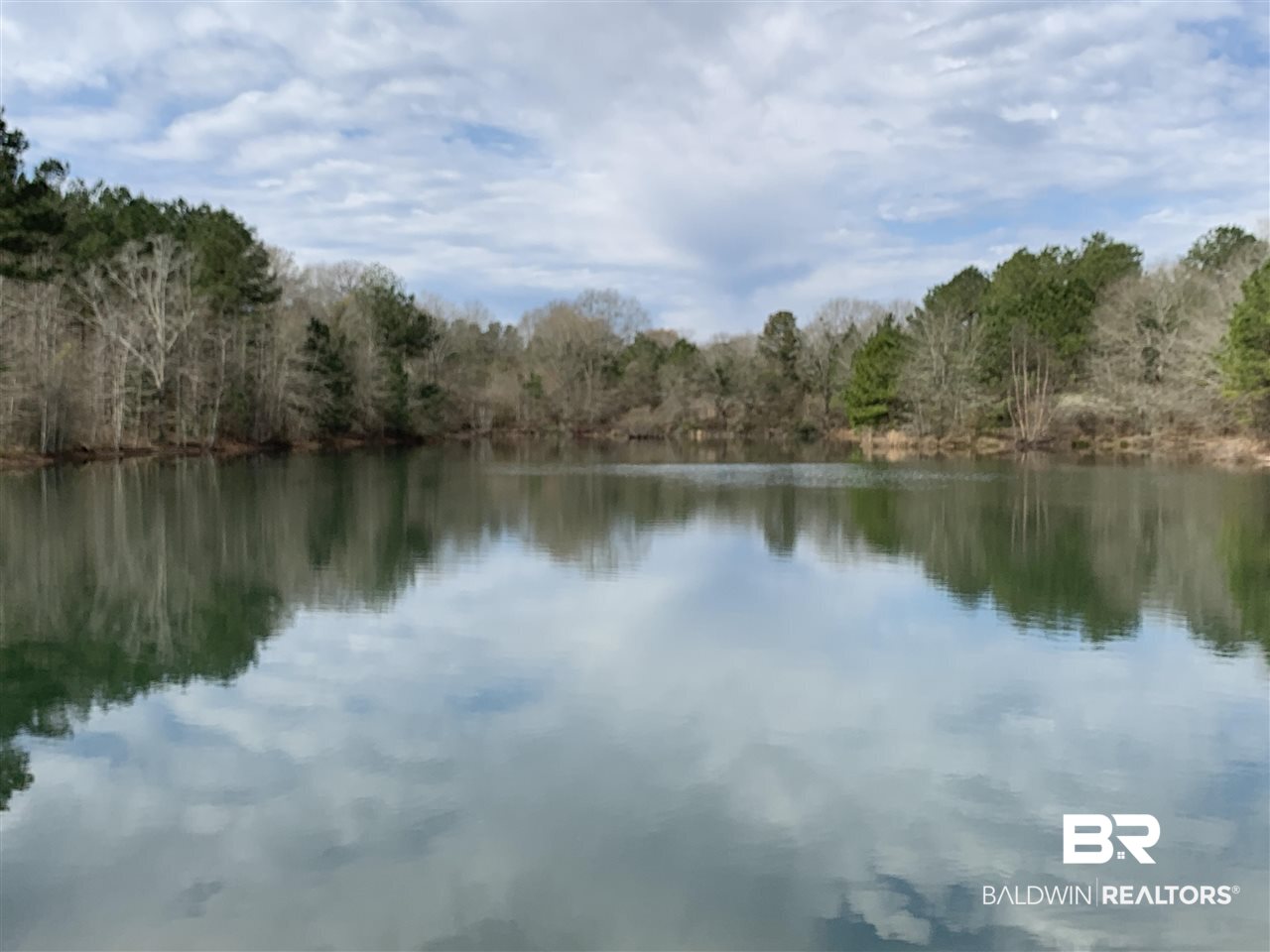 0 Sexton Brg Road Luverne, AL 36049 - Photo 1 of 50