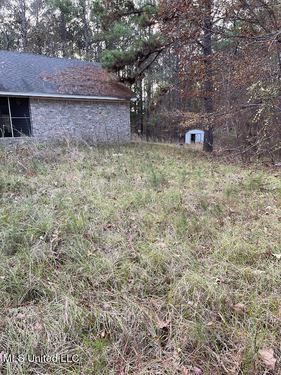 5990 Tank Road Terry, MS 39170 - Photo 6 of 26 Backyard Full View