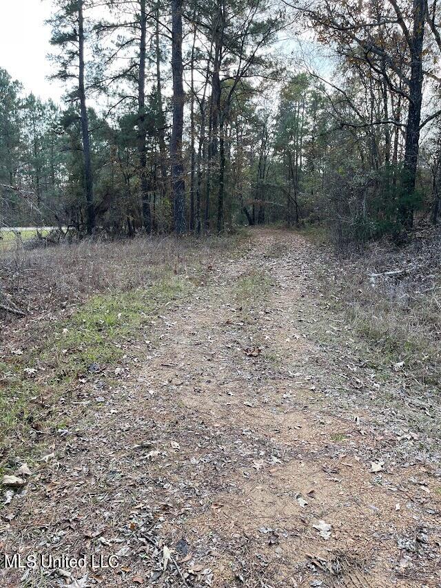 5990 Tank Road Terry, MS 39170 - Photo 9 of 26 Street View to the Left of the Property