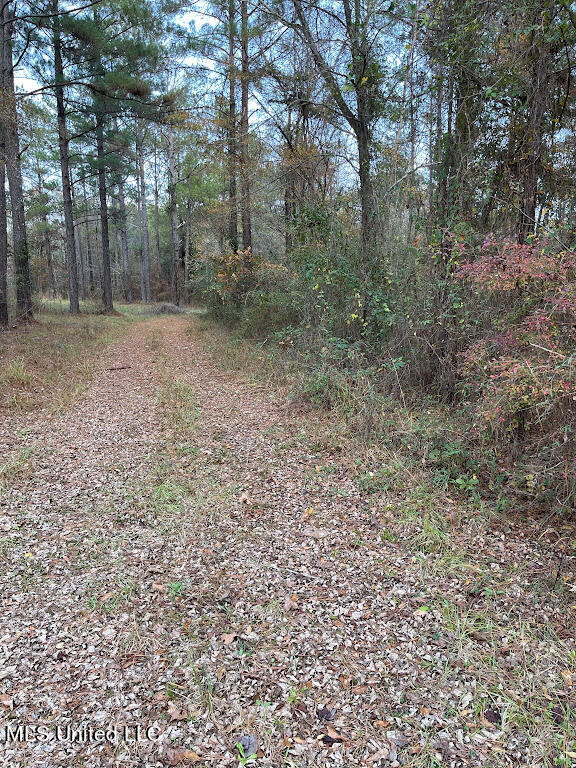5990 Tank Road Terry, MS 39170 - Photo 10 of 26 Street View to the Right of the Property