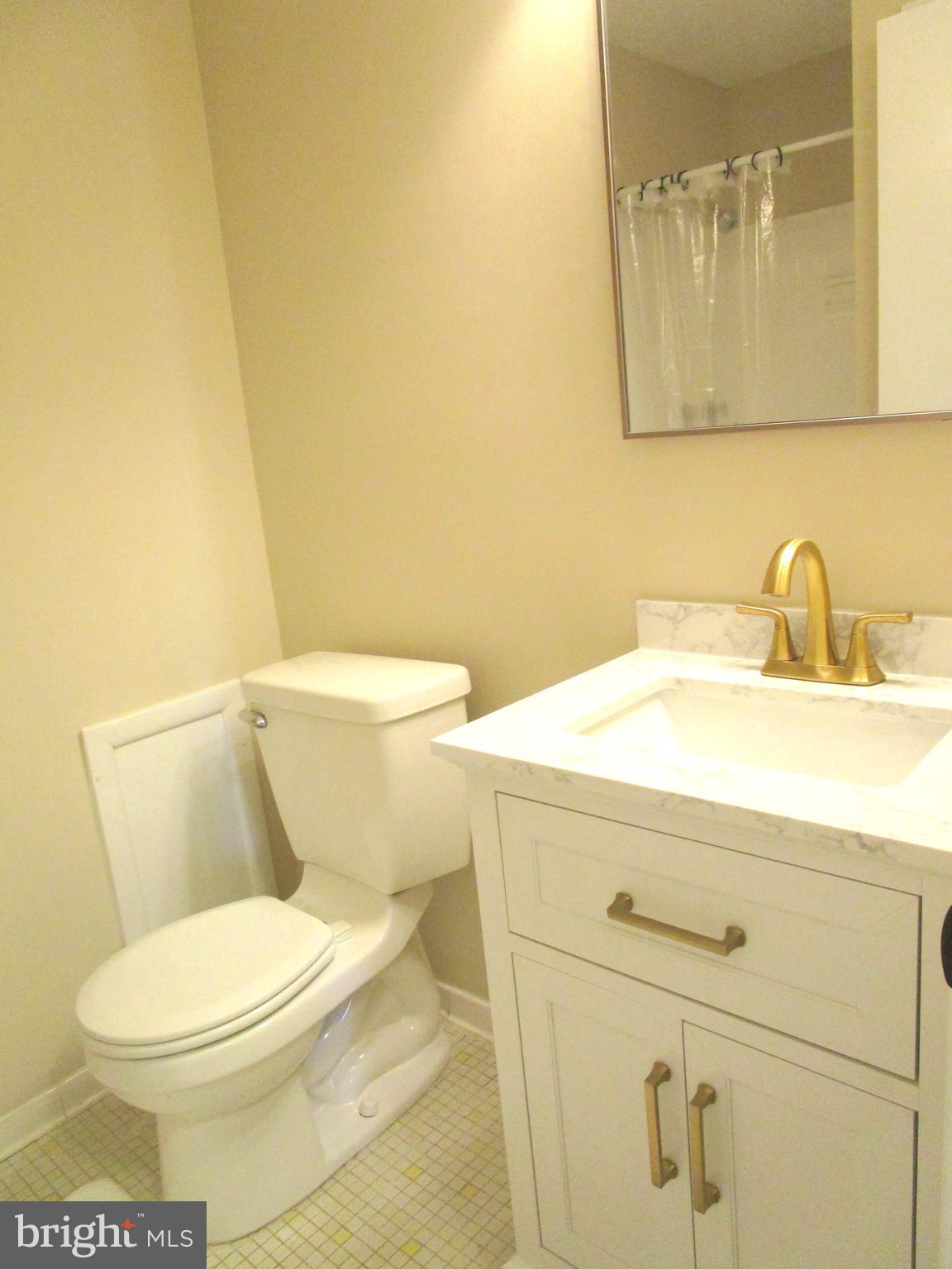 7291 E Coachlight Court Frederick, MD 21703 - Photo 13 of 19 a bathroom with a toilet a sink and mirror