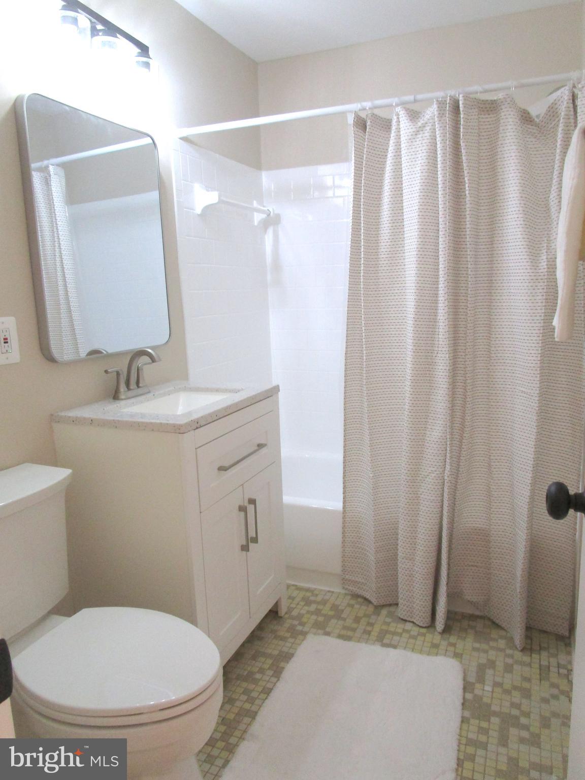 7291 E Coachlight Court Frederick, MD 21703 - Photo 10 of 19 a bathroom with a sink a toilet a mirror and shower curtain