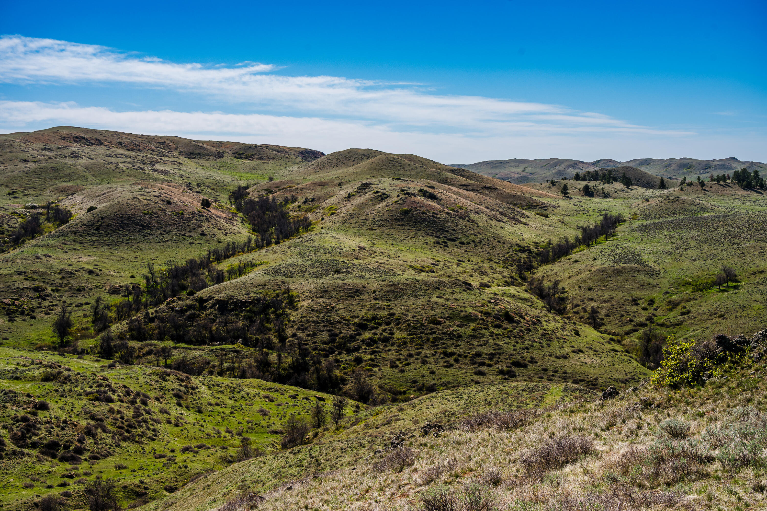 366 South R Buffalo Creek Road Wyarno, WY 82845 - Photo 19 of 71 366 s r buffalo creek rd 049