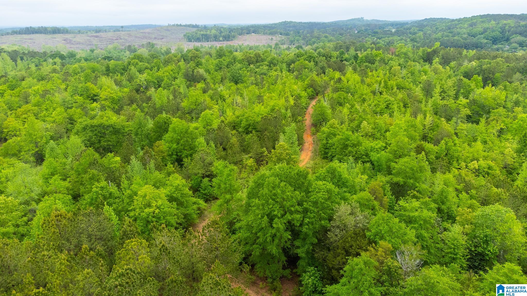0 Cove Access Road, Unit 28 Talladega, AL 35160 - Photo 10 of 12