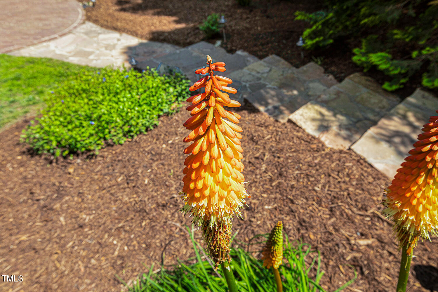 101 Cardiff Place Chapel Hill, NC 27516 - Photo 7 of 82 101 Cardiff Pl Chapel Hill NC-large-009-