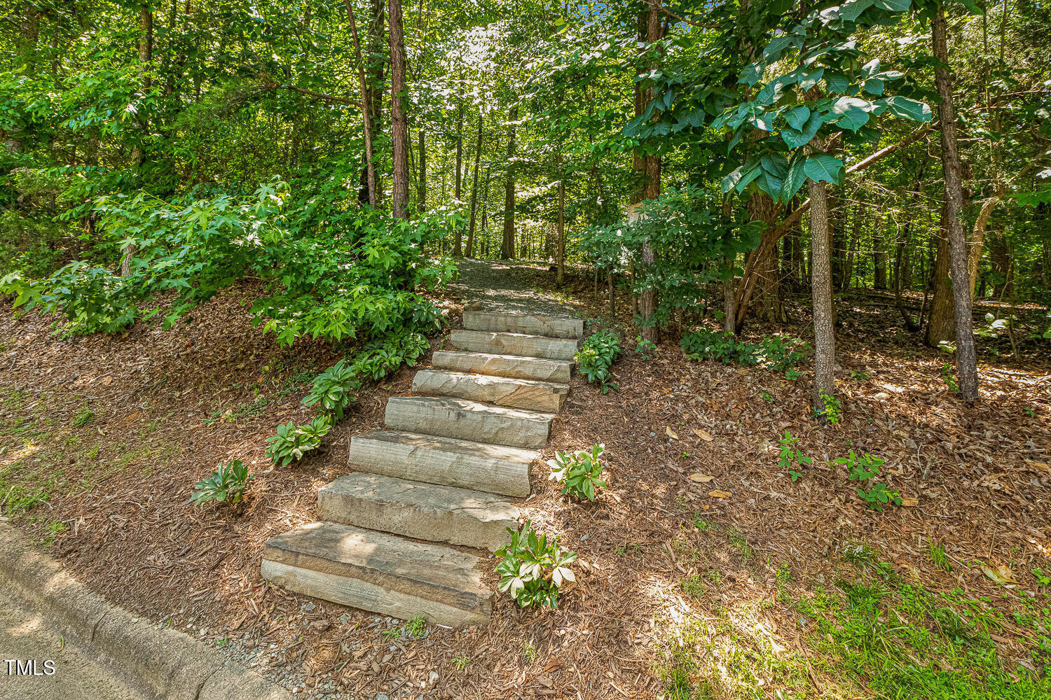 101 Cardiff Place Chapel Hill, NC 27516 - Photo 77 of 82 101 Cardiff Pl Chapel Hill NC-large-084-