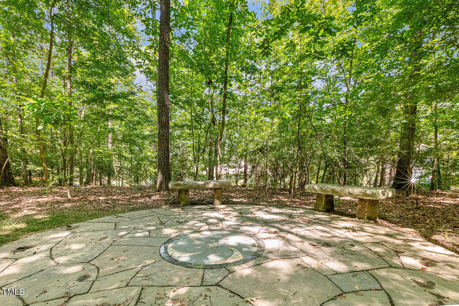 101 Cardiff Place Chapel Hill, NC 27516 - Photo 79 of 82 a view of a backyard with large trees