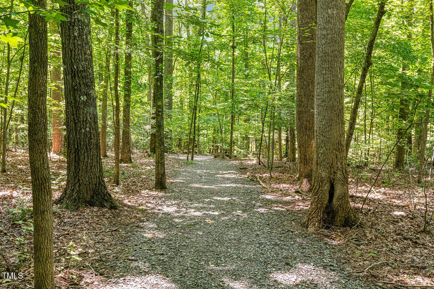 101 Cardiff Place Chapel Hill, NC 27516 - Photo 81 of 82 a view of outdoor space and trees