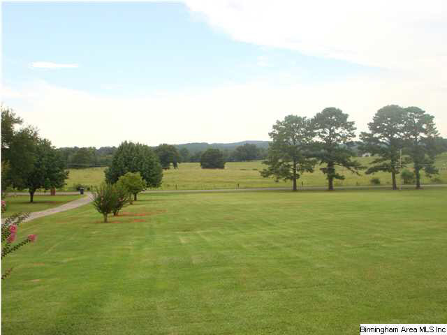 1799 Peaceful Valley Road Eastaboga, AL 36260 - Photo 28 of 32