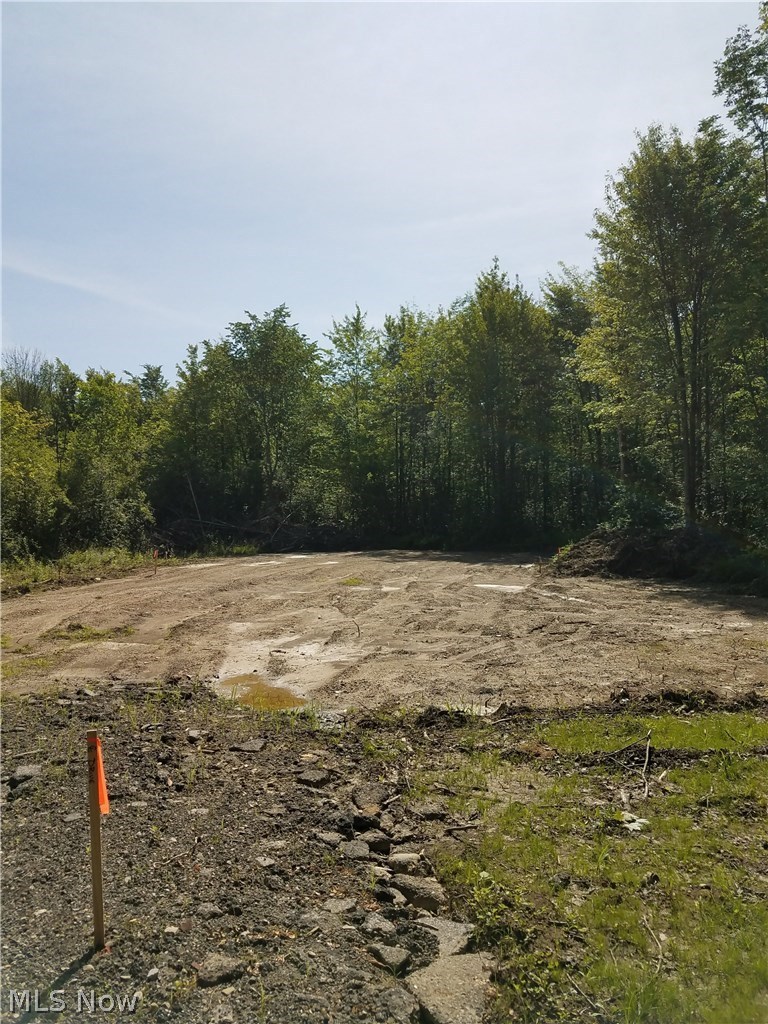 Sumner Road Thompson, OH 44086 - Photo 17 of 24