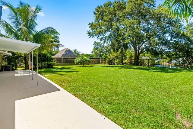 a view of a yard with a small plants and palm trees