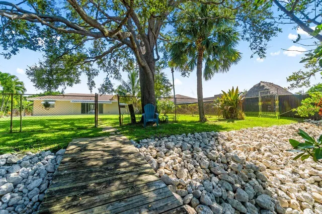 a view of a yard with plants and large trees