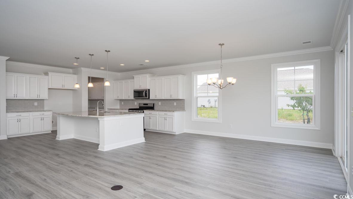 208 Lassoed Circle Murrells Inlet, SC 29576 - Photo 19 of 40 Gallery Image 19