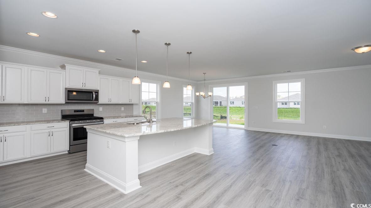 208 Lassoed Circle Murrells Inlet, SC 29576 - Photo 9 of 40 Gallery Image 9