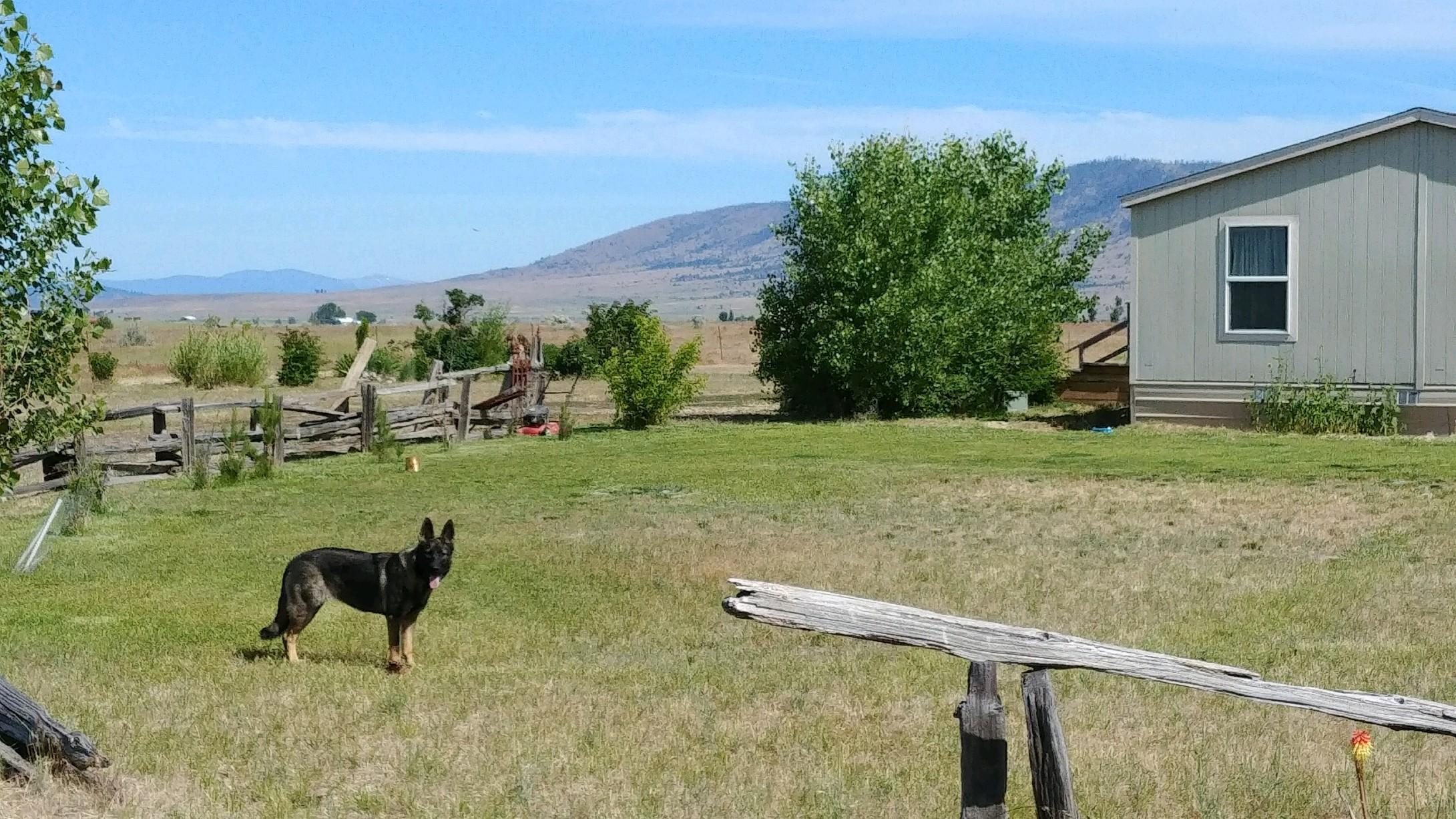 676-005 Shasta View Road Adin, CA 96006 - Photo 4 of 12 matt2