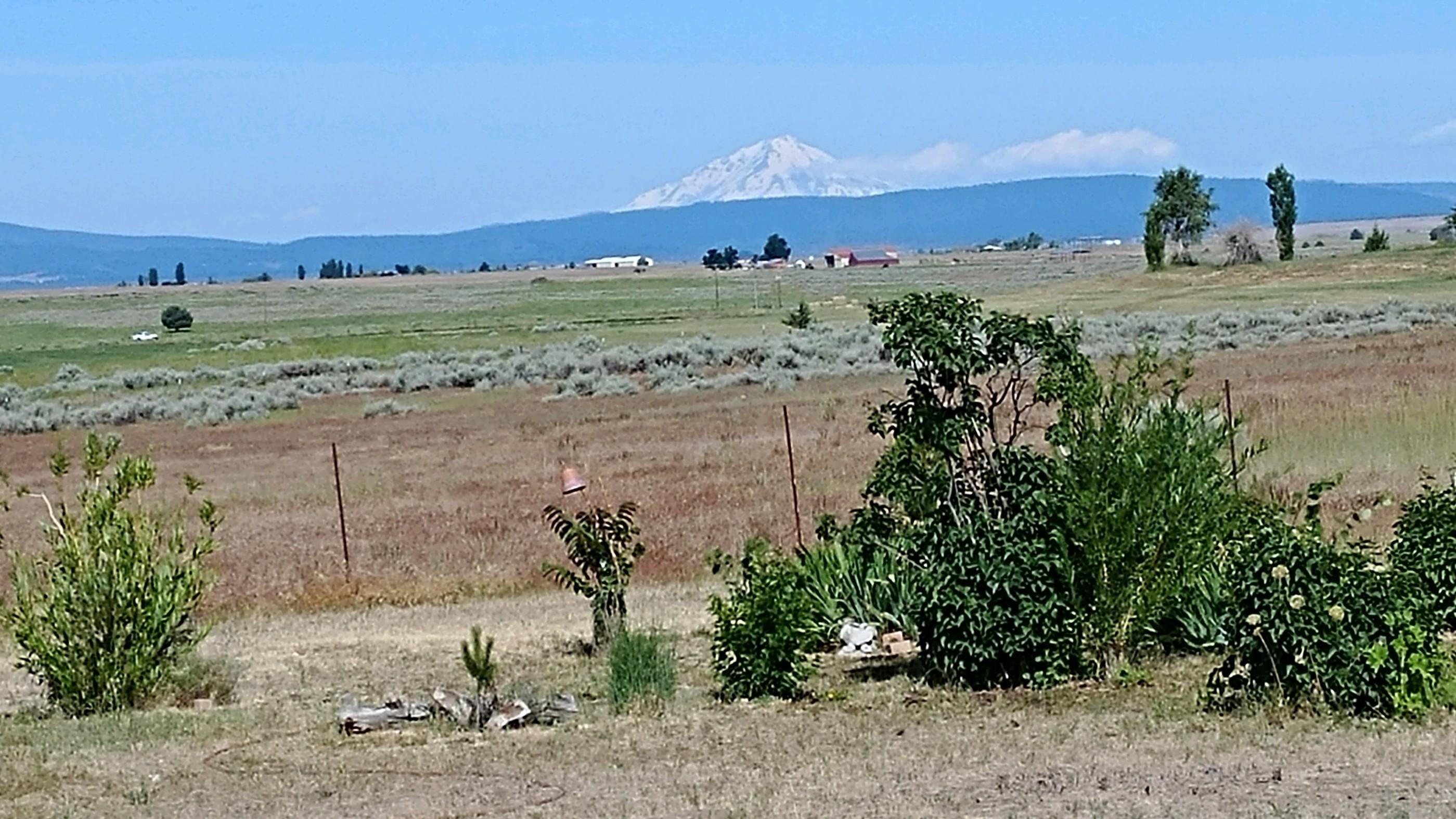 676-005 Shasta View Road Adin, CA 96006 - Photo 6 of 12 matt4