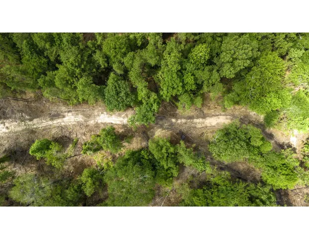 a open area with green field