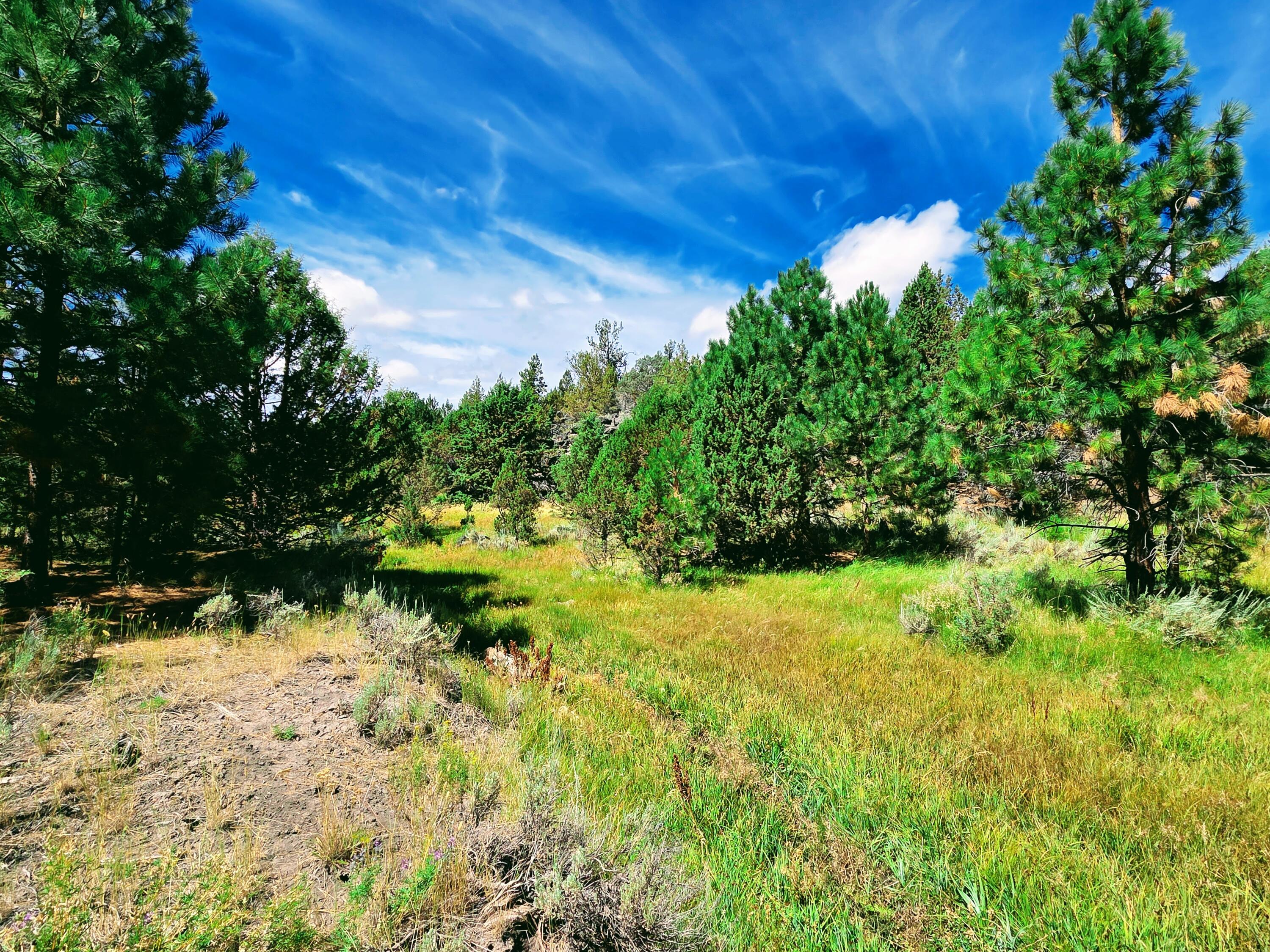 32500 Tackman Road Prineville, OR 97754 - Photo 84 of 112