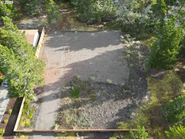a view of a yard