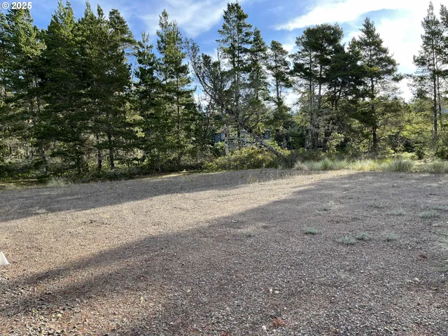 a view of road with trees