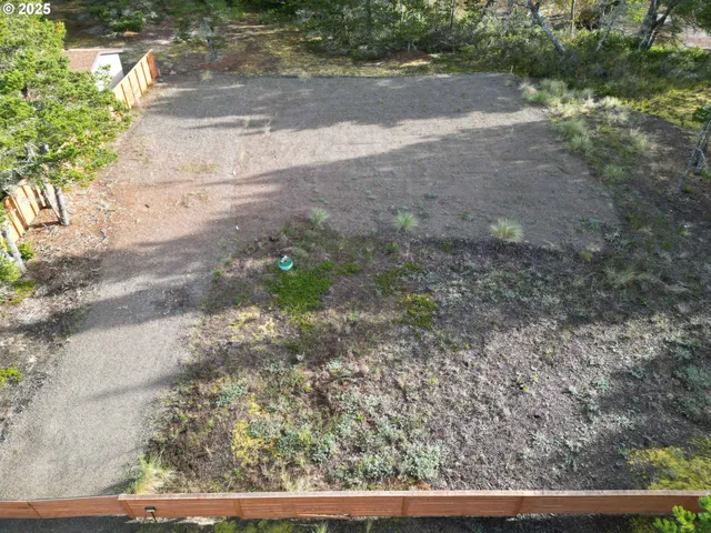 a view of a yard with plants